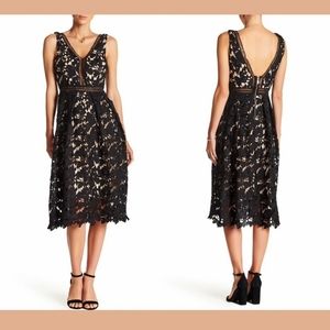 Romeo + Juliet Couture Dress Sexy Black Lace with Nude Lining Midi Length Sz M